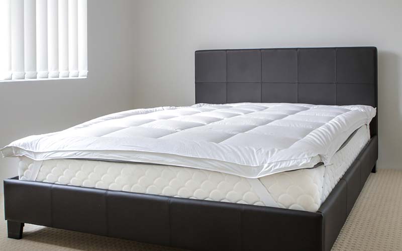 carpet cleaning in bronx, carpet cleaning in bronx, carpet cleaning bronx, carpet cleaners in bronx, carpet cleaners in bronx, commercial carpet cleaning, commercial carpet cleaning in bronx, bronx rug cleaners, rug cleaning services in bronx, same day carpet cleaning, same day rug cleaning