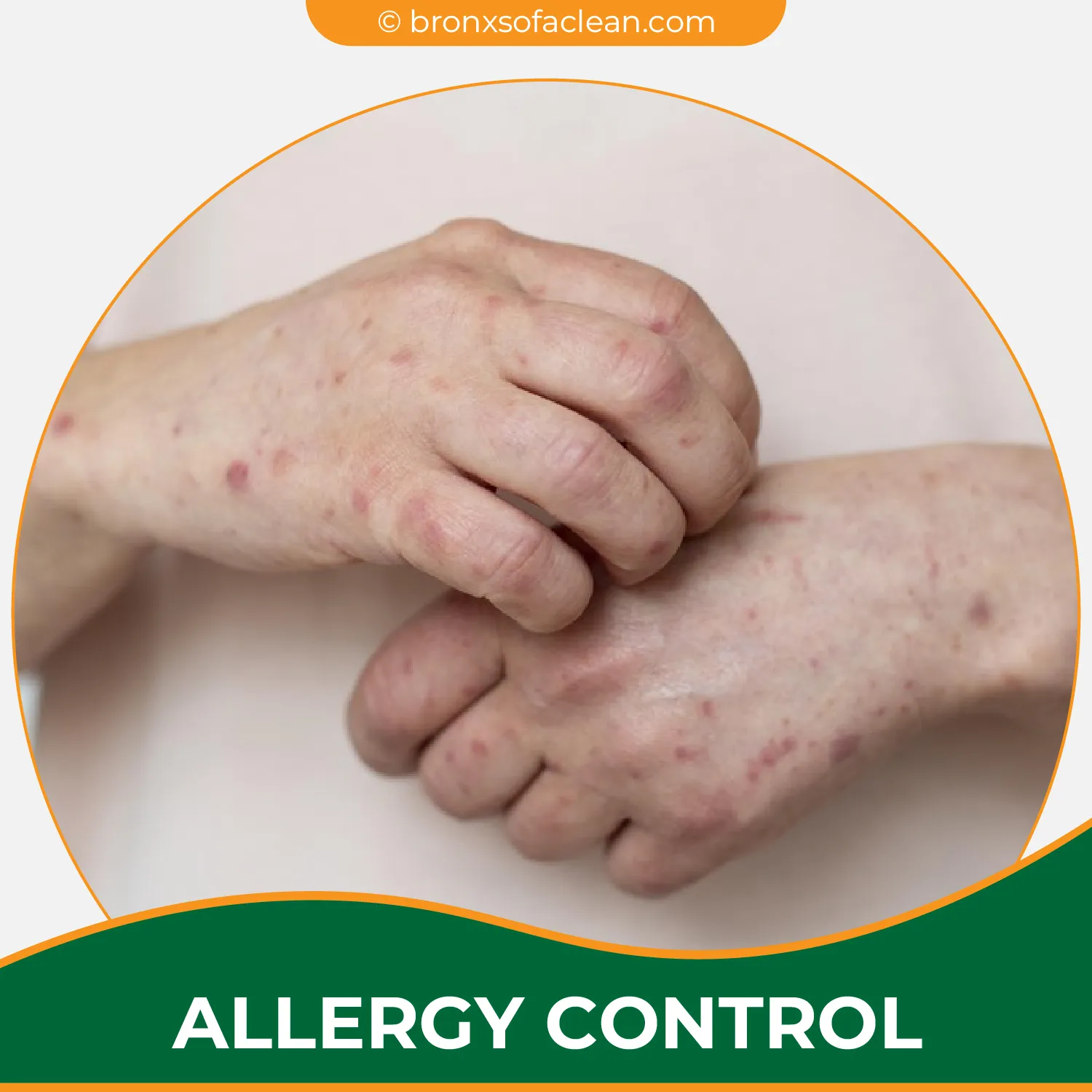 carpet cleaning in bronx, carpet cleaning in new york, carpet cleaning bronx, carpet cleaners in bronx, carpet cleaners in new york, commercial carpet cleaning, commercial carpet cleaning in bronx, bronx rug cleaners, rug cleaning services in bronx, same day carpet cleaning, same day rug cleaning