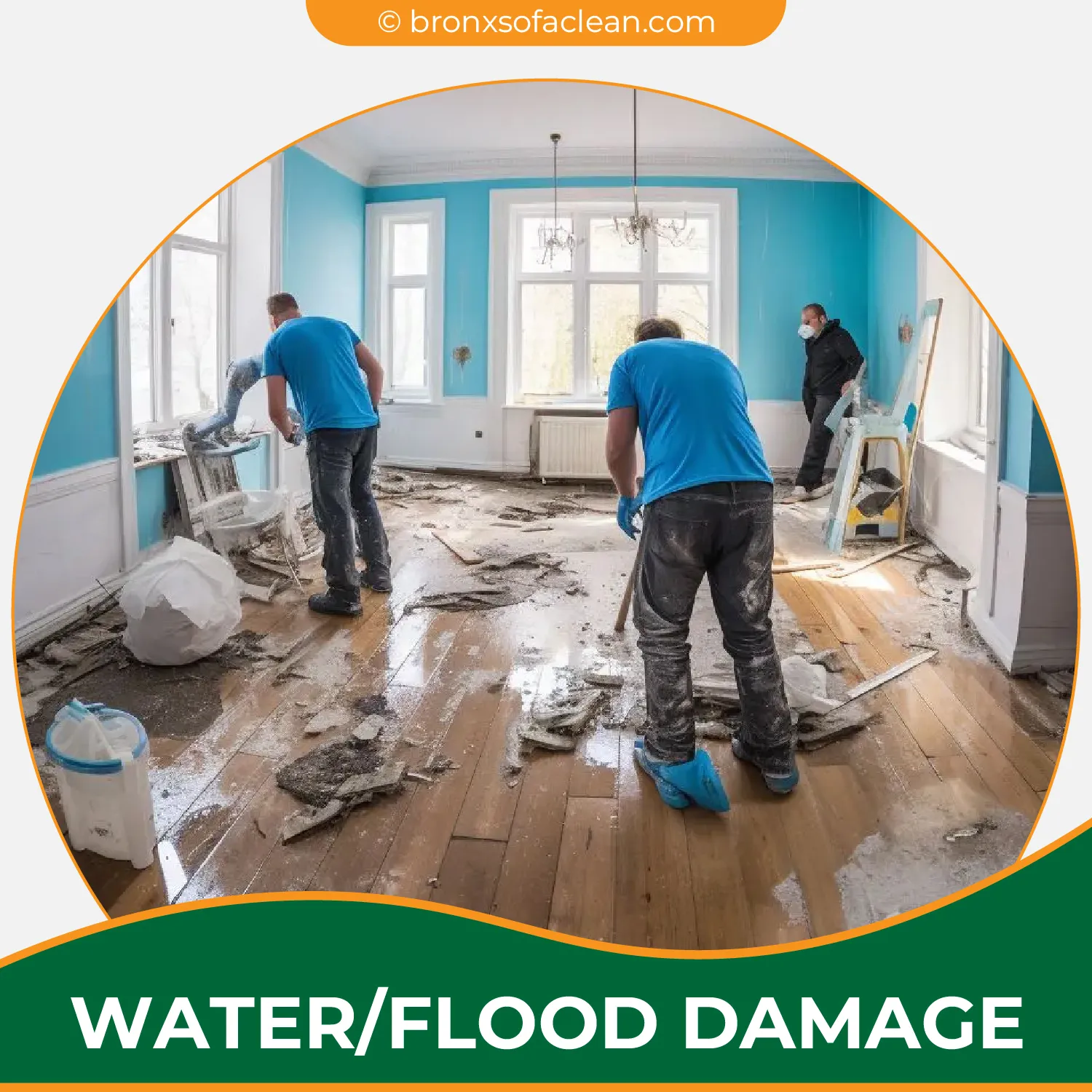 carpet cleaning in bronx, carpet cleaning in new york, carpet cleaning bronx, carpet cleaners in bronx, carpet cleaners in new york, commercial carpet cleaning, commercial carpet cleaning in bronx, bronx rug cleaners, rug cleaning services in bronx, same day carpet cleaning, same day rug cleaning